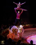 3-20240106_TOF00190_III-KerstCircus-EL-_1A-insta_W