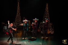1-20231218_TOF00170_PM-Kring-Kerst-III_-VA_W